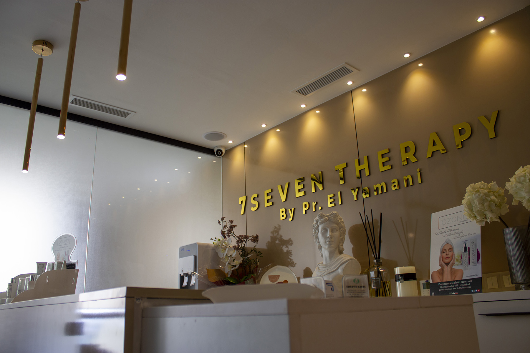 Locaux Seven Therapy Center
